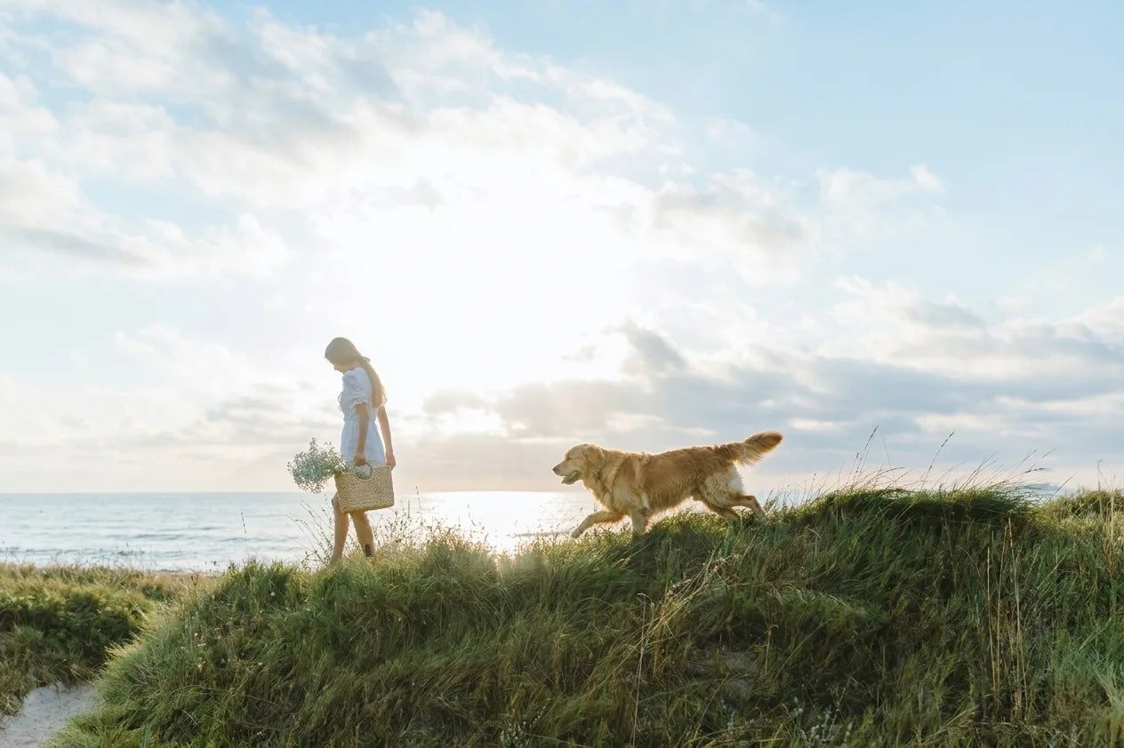 Person walking a dog on a grassy beach with a cloudy sky.
