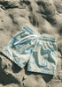 Huntington & Cold Spring Harbor Boys' Swim Trunks - Oyster and Arrow